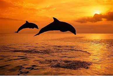 《守望先锋》现已支持跨平台联机功能